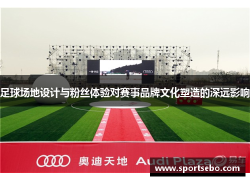 足球场地设计与粉丝体验对赛事品牌文化塑造的深远影响